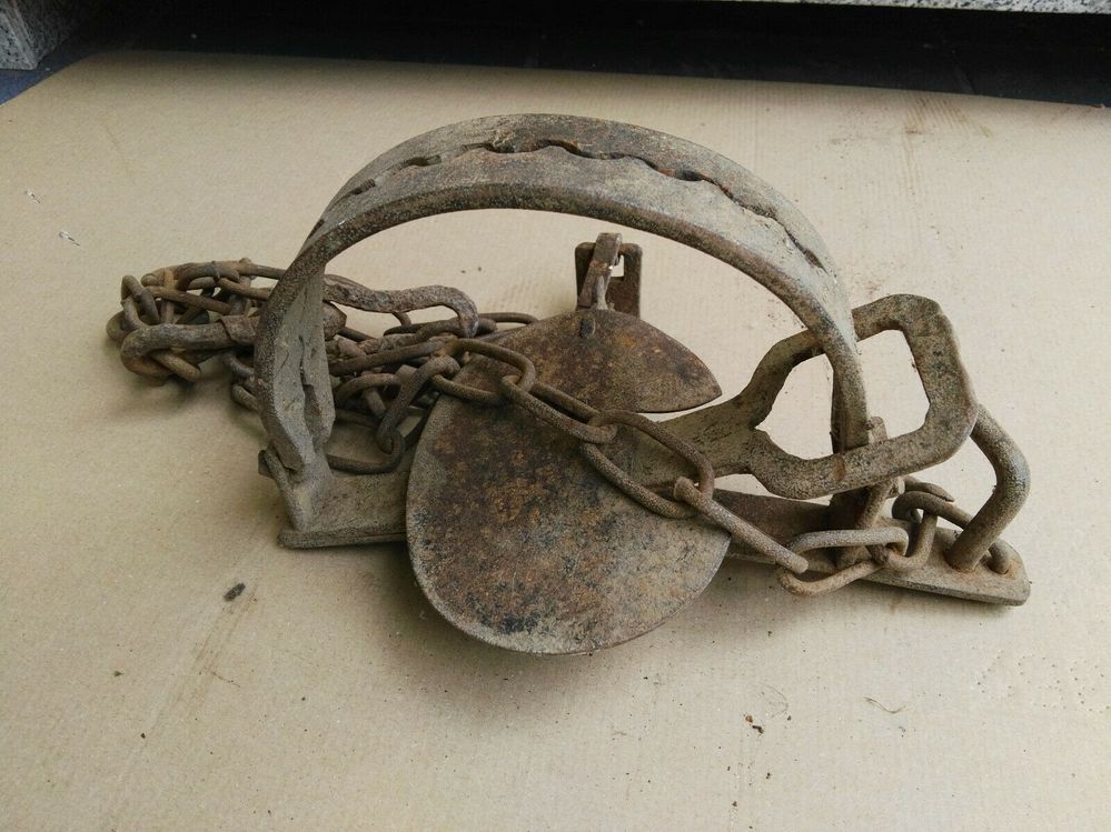 203052747791 --- 2.jpg