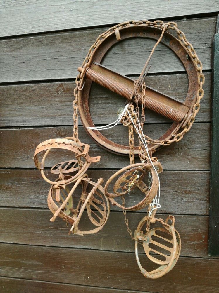 184371377869 --- 1.jpg