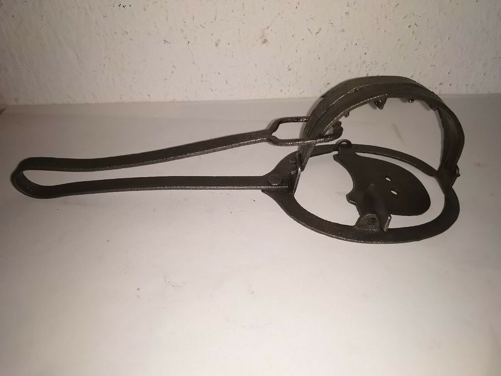 373117285117 --- 1.jpg